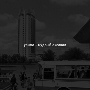 мудрый аксакал