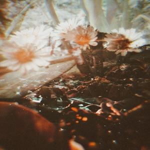 K-Shine (feat. Mr laz)