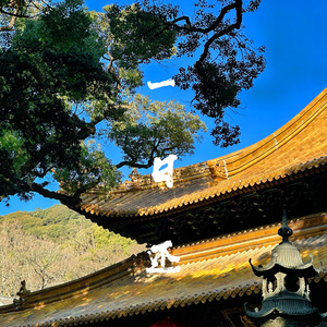 一日还（女声翻唱）