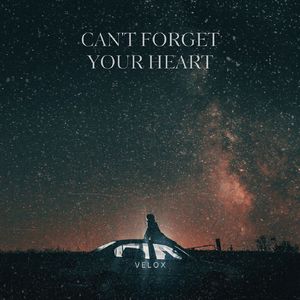 Can't Forget Your Heart
