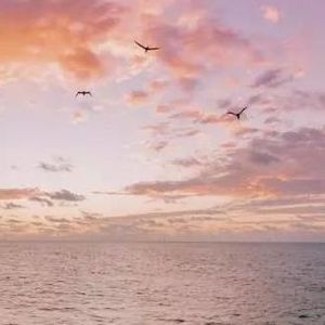 遇见了就是玉 (15)