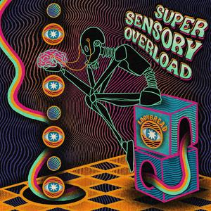 Super Sensory Overload