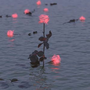 колыбельная(摇篮曲)