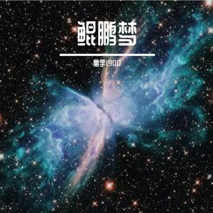 鲲鹏梦2026-05-09