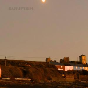 SUNFISH