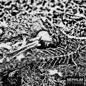 Nephilim