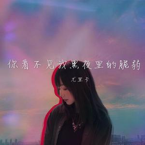 你看不见我黑夜里的脆弱