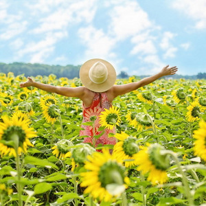 Sommarlängtan (Live)