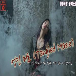 엉킨 미로 (Tangled Maze)