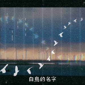 白鸟的名字