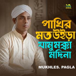 পাখির মত উইরা যাব মক্কা মদিনায়