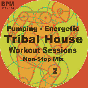 Tribal House Workout Sessions 2 (Continues DJ Mix) (Various Artists)