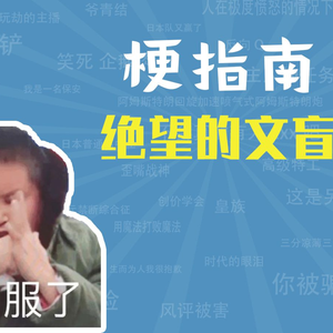 绝望的文盲是什么梗【梗指南】