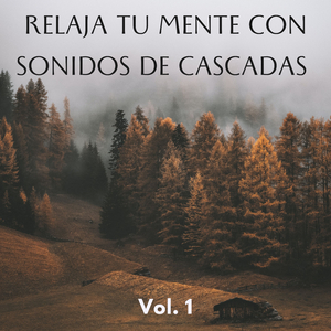 Música De Cascada Fácil De Dormir