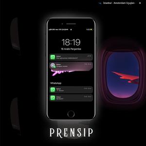 Prensip (feat. Ege Çalışkan)