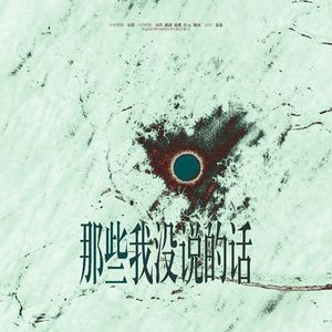 那些我没说的话