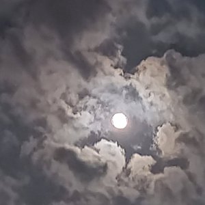 终于敢回到我自己