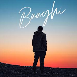Baaghi