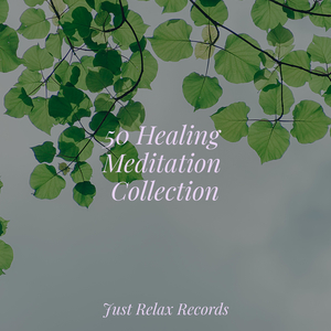 Sakura Zephyr's Seduction