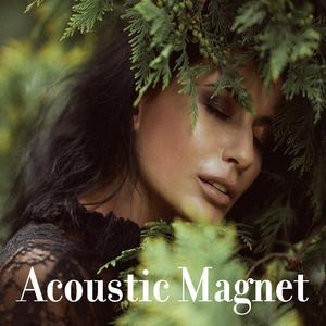Acoustic Magnet