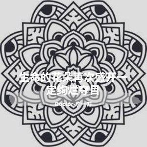 生命的花朵再次盛开一定绚烂夺目