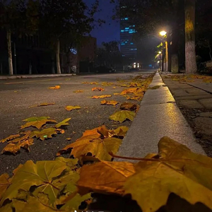 想你的风吹到了秋.mp3