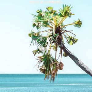 适合办公室工作容易的音乐