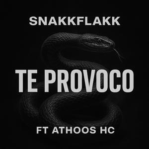 Te Provoco (feat. Athoos Hc)