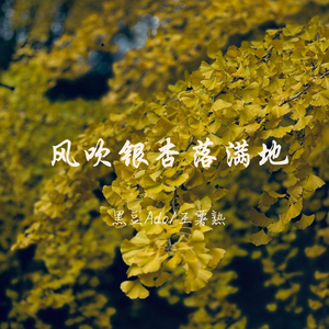 风吹银杏落满地