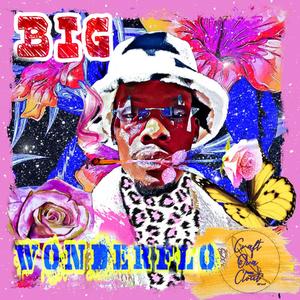 EVERYTHING WONDERFLO