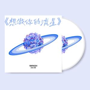 想做你的流星