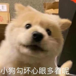 Letting Go（Cover 蔡健雅）