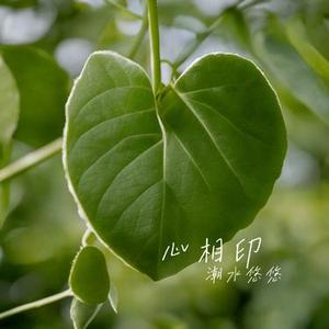 心相印