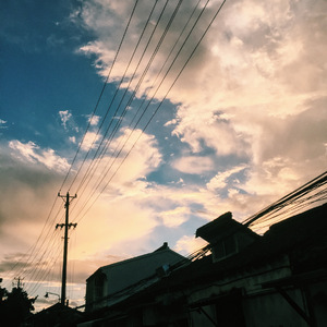 凌晨四点半醒来时才能做的梦