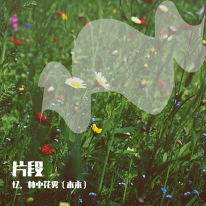 形容（女生版）