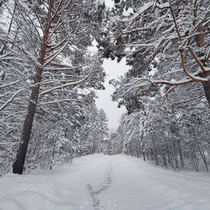 原来我只是其中一个