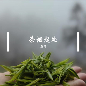 茶烟起处