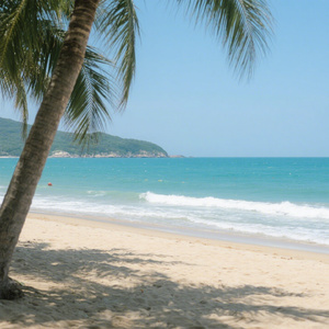 所以他不愿承认