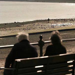 喜欢你(降调0.85x)