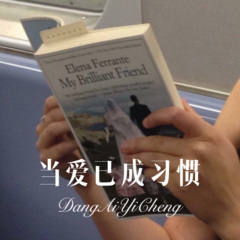 当我爱上你 (DJ版)