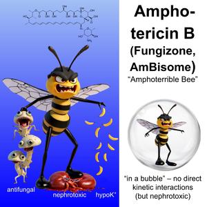 Amphotericin B (Insidious Version)