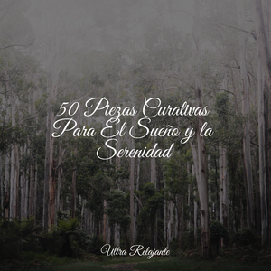 Burbujas En El Tiempo