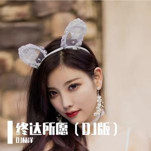 终达所愿（DJ版）