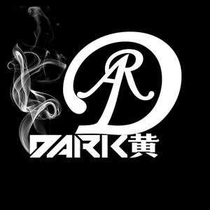 Dark黄-猪八戒背媳妇-（Dark黄 remix）