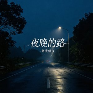 夜晚的路