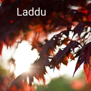 Laddu