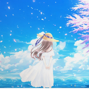 真夏の桜