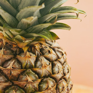 イージー・ウィナーズ＆パイナップル・ラグ　～off vocal～