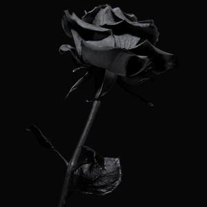 [FREE]“肮脏”Dark Drill Type Beat