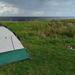 Заячий укус